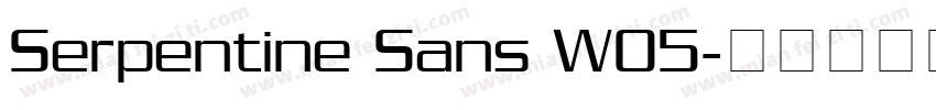 Serpentine Sans W05字体转换